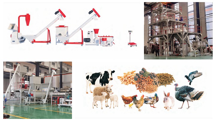 Brand new feed production machine Wholesaler price in Somalia